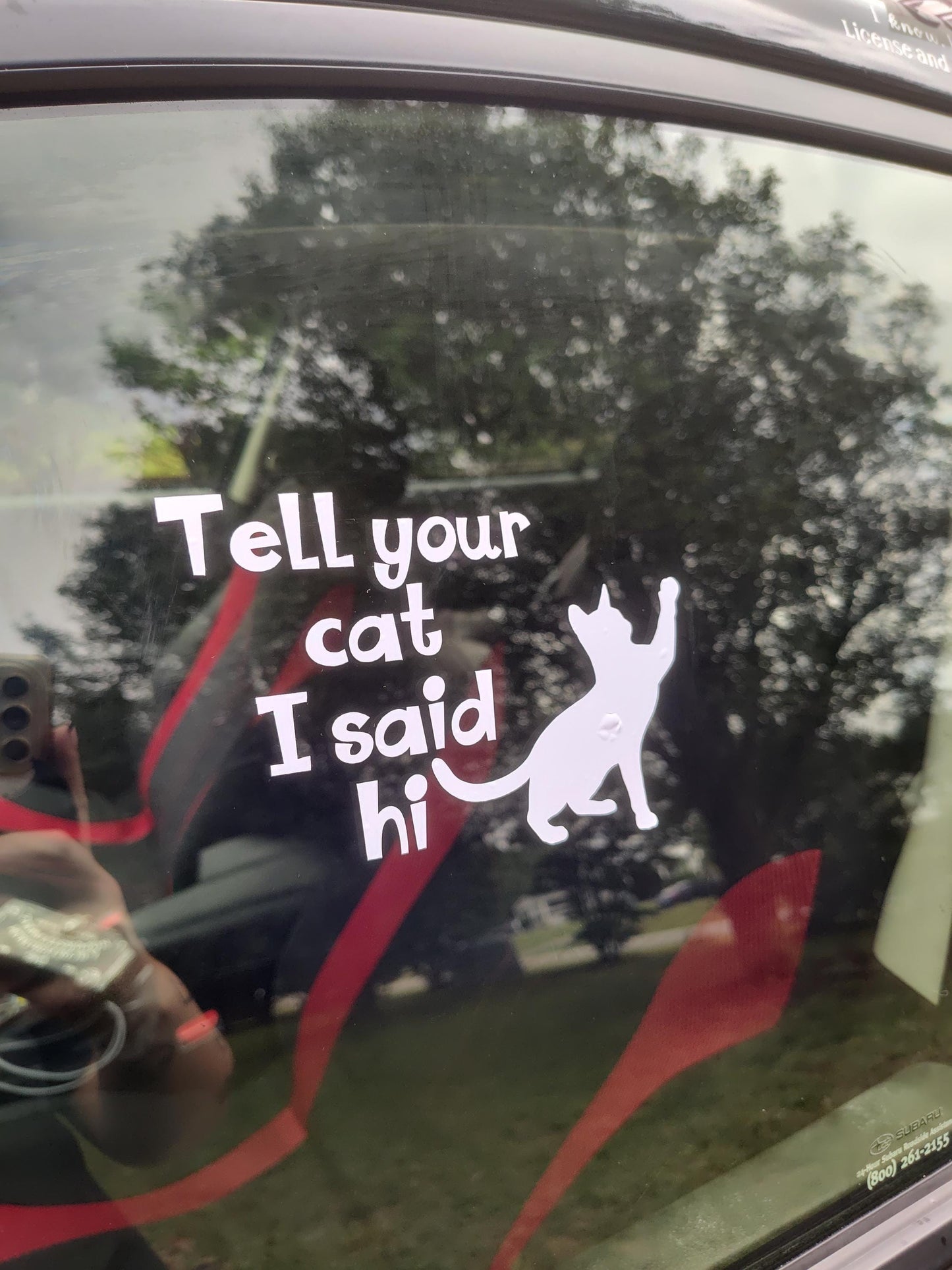 Tell Your Cat I Said Hi Decal - Vinyl Car - Waterproof Sticker for Windows, Bumpers Laptops - Durable Weatherproof Sticker