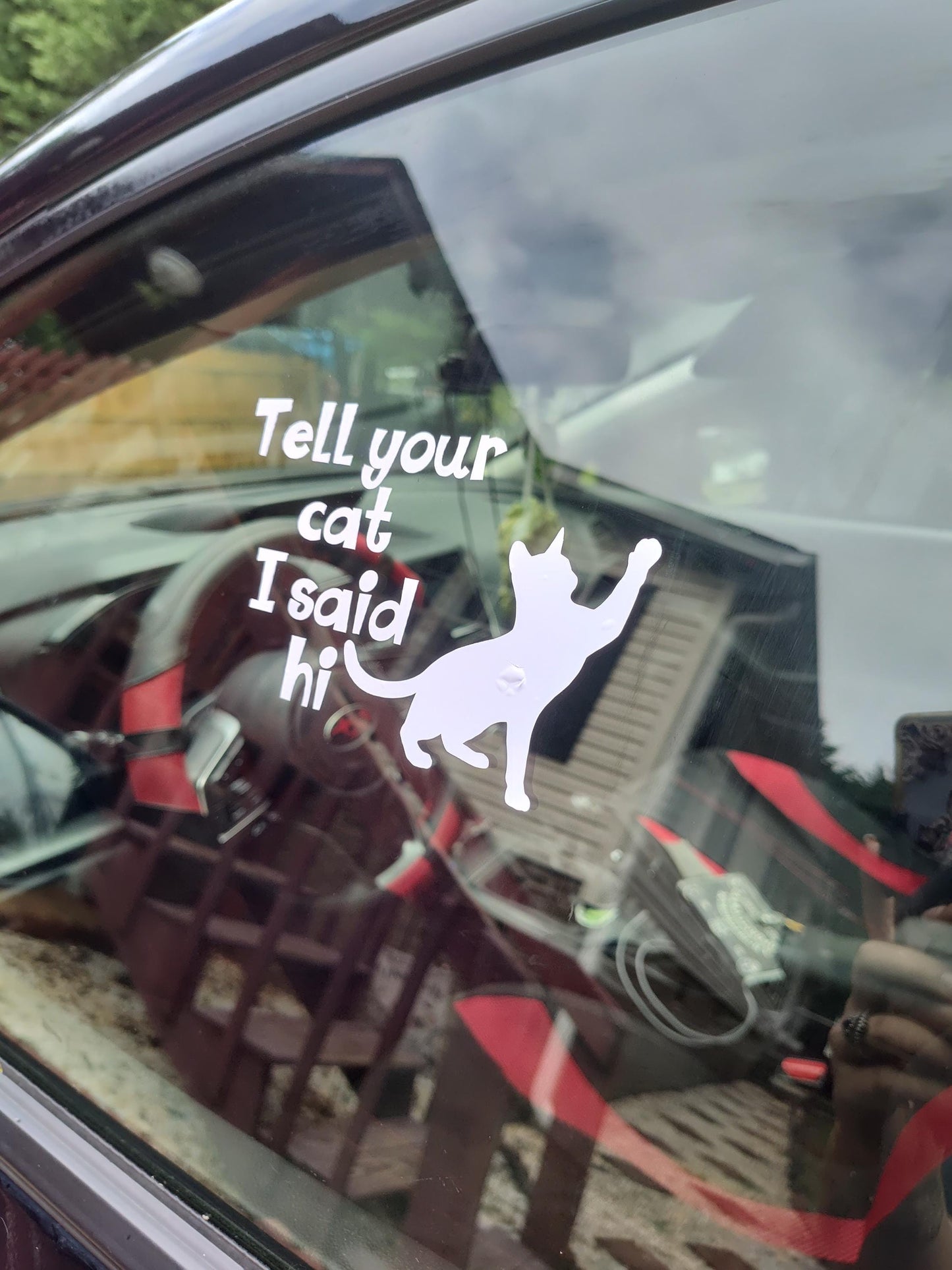 Tell Your Cat I Said Hi Decal - Vinyl Car - Waterproof Sticker for Windows, Bumpers Laptops - Durable Weatherproof Sticker