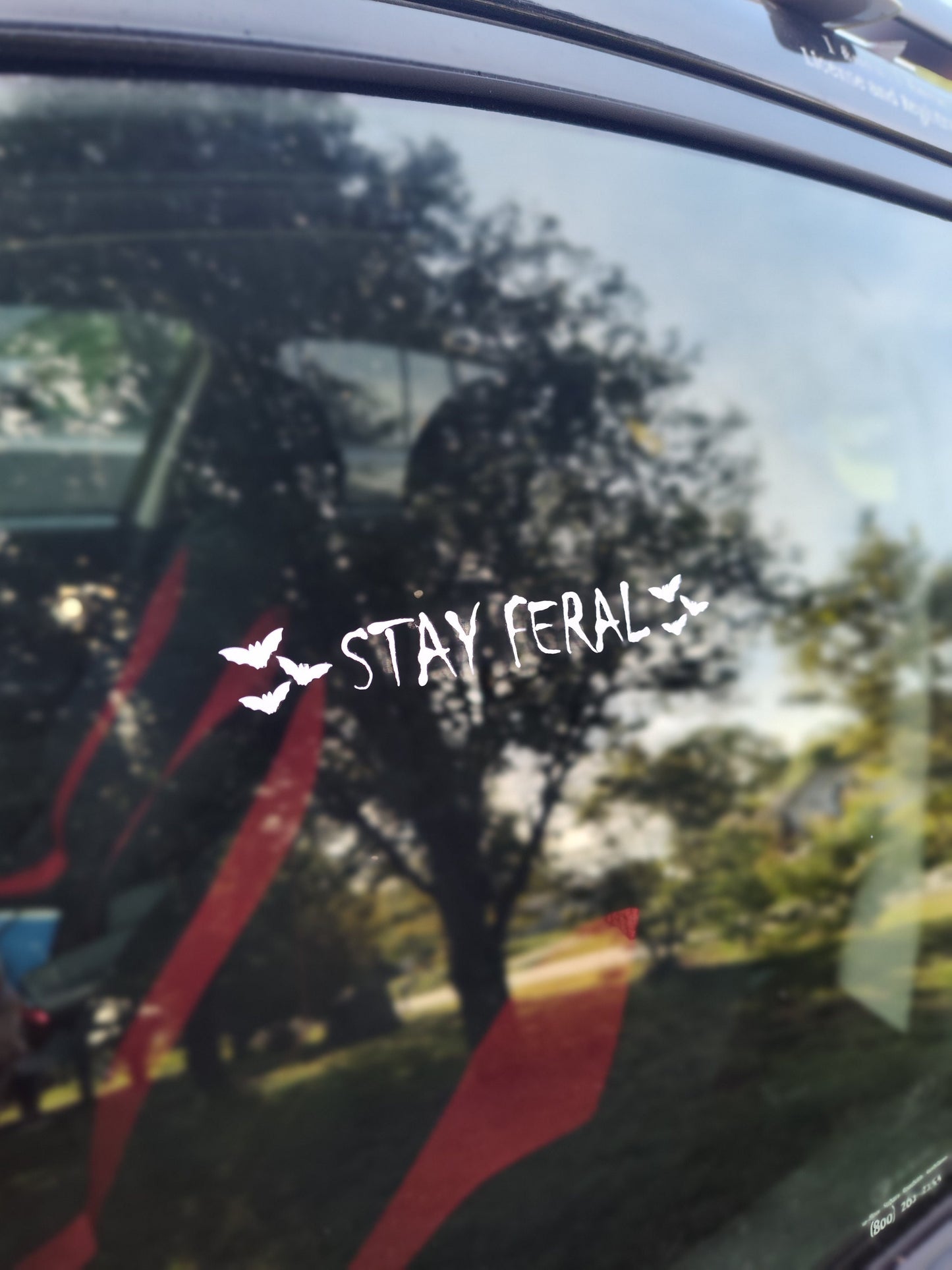 Stay Feral Decal - Waterproof Decal - Vinyl Car - Waterproof Sticker for Windows, Bumpers Laptops - Durable Weatherproof Car Accessories