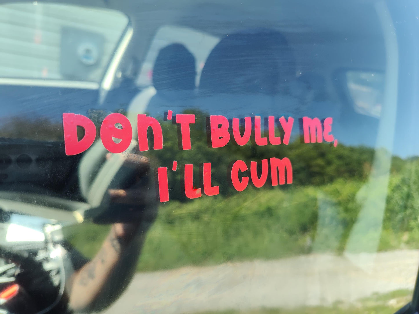 Don't Bully Me, I'll Cum Decal - Vinyl Car - Waterproof Sticker for Windows, Bumpers Laptops - Durable Weatherproof Goth Car Accessories