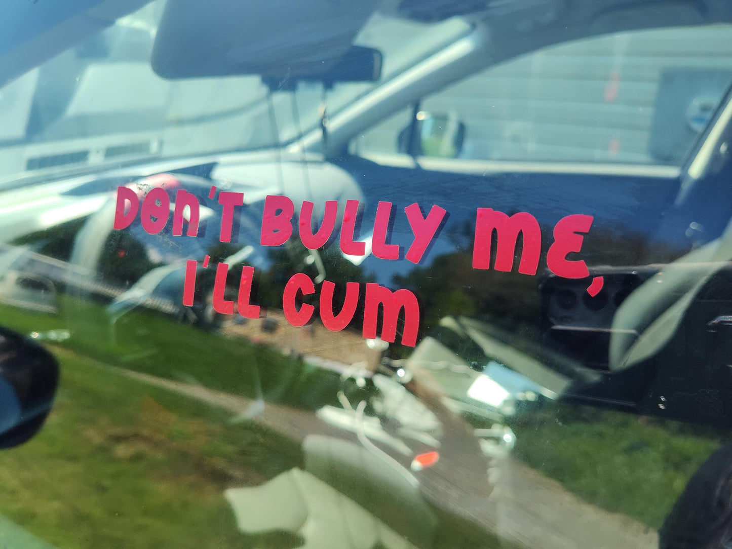 Don't Bully Me, I'll Cum Decal - Vinyl Car - Waterproof Sticker for Windows, Bumpers Laptops - Durable Weatherproof Goth Car Accessories