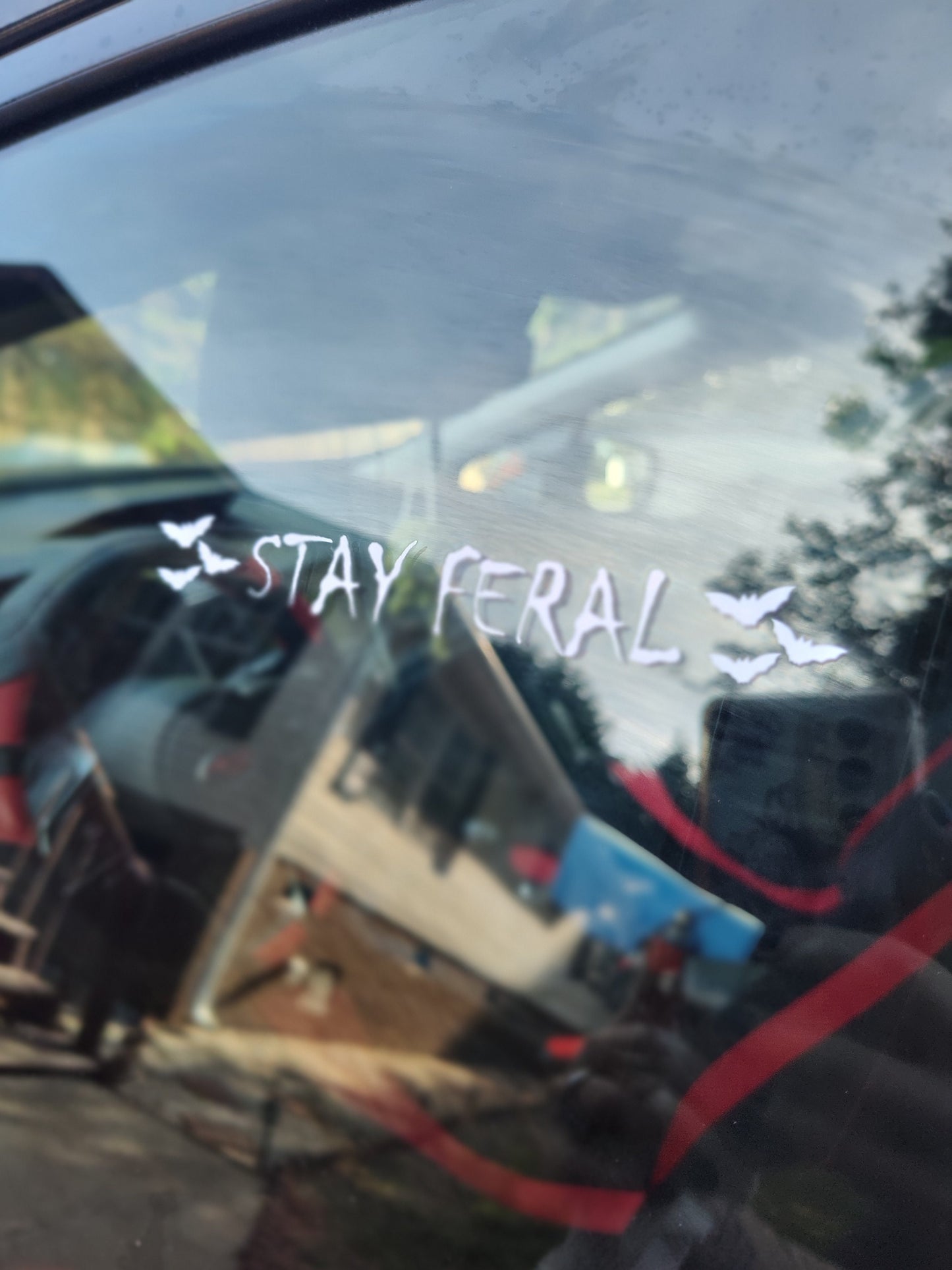 Stay Feral Decal - Waterproof Decal - Vinyl Car - Waterproof Sticker for Windows, Bumpers Laptops - Durable Weatherproof Car Accessories